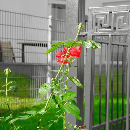 Gepflegtes Und Schoenes Ferienapartment