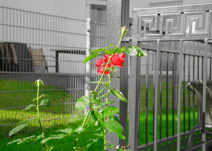 Gepflegtes Und Schönes Ferienapartment